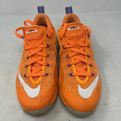 lebron twelves