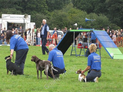 Foto 6x4 On your marks, get set Lea\/SO6521 The Paws for Thought Hund dis c2009