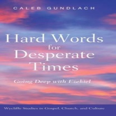 Hard Words for Desperate Times Wipf And Stock Publishers Hardcove