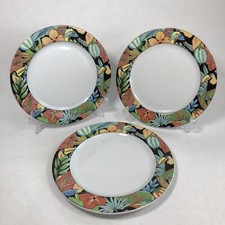 Pilivite Porcelain Decor Special Lave Vaisselle Tucan Flowers Plates France