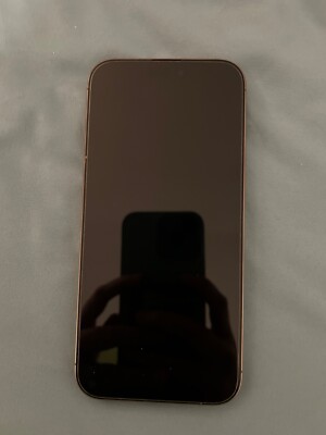 Apple iPhone 16 Pro Max with TIK-TOK