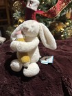 Jellycat Bashful Bunny with Pencil – BNWT – Cute Plush Rabbit – Rare Collector