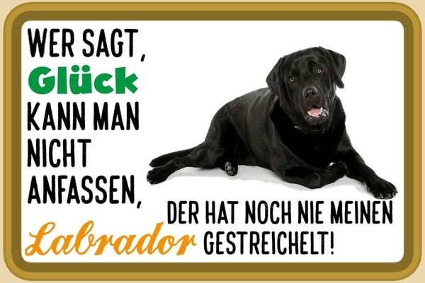 Holzschild 20X30 Cm GlüCk Nicht Anfassen Labrador Dekoration Deko Geschenk Holz-image