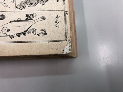 Japanese old copperplate print book: All things picture, 1896
