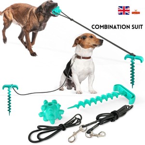 pole leash for dogs