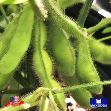 geranium hanging plants Nearly Natural Geranium Hanging Basket Silk Plant main image 0