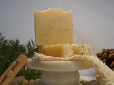 Organic Aloe Vera soap bar.