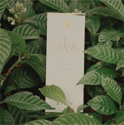 Dior J'adore Eau de Parfum Spray 1.7 fl oz Regular Size Fragrance