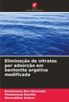 Barkahoum Ben Hamouda (U. A.) | EliminaçãO De Nitratos Por AdsorçãO Em...