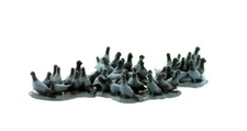 over 40 PIGEONS in Flocks large BULK PACK come all painted O Scale 1/48