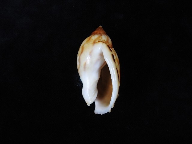 Picture 3 of 3