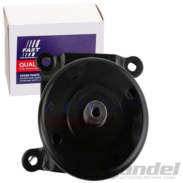 Fast Spannrolle Keilrippenriemen Passend FüR CitroËN Jumper Fiat Ducato Ford-image