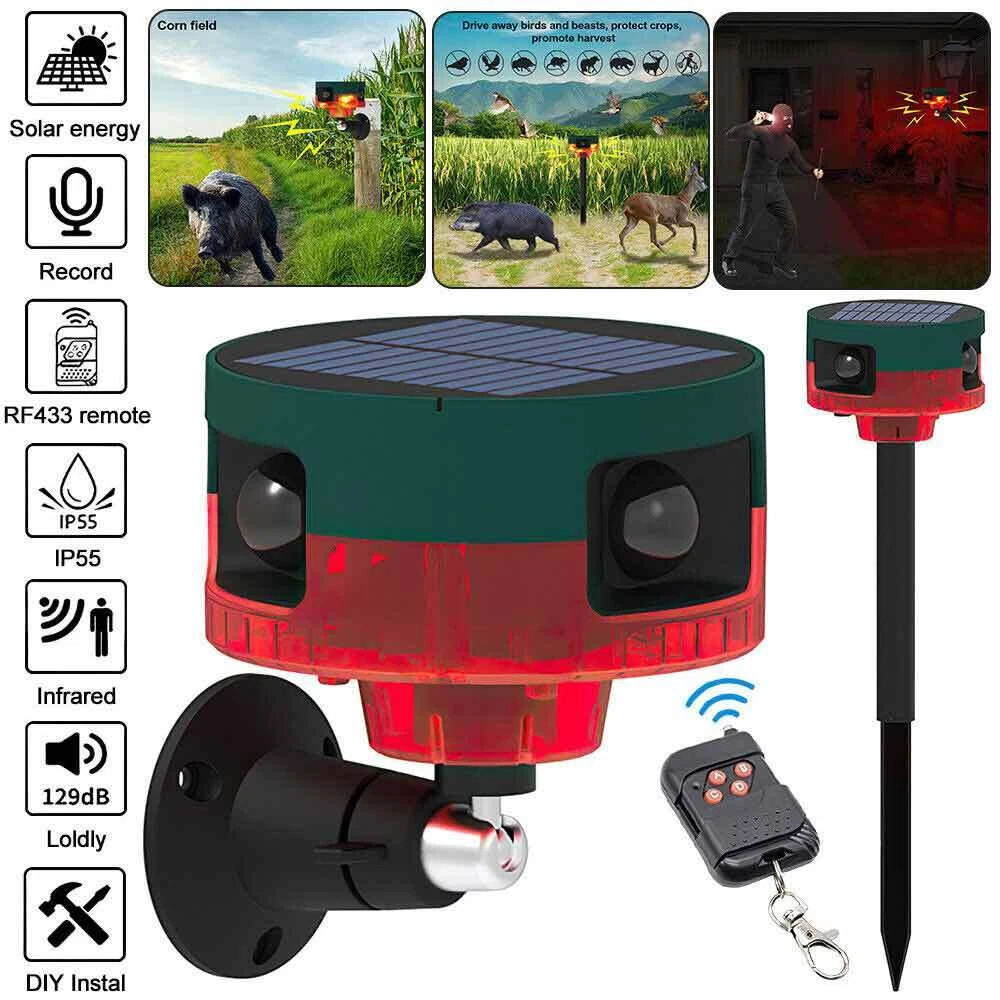Solar powered deals motion sensor alarm