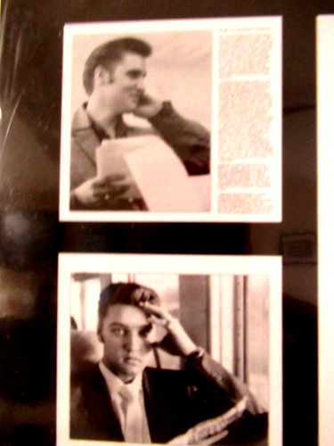 "ELVIS / THE WERTHEIMER COLLECTION" ~(2005)~ ** ROCK 'N ROLL / CALENDAR ** #45 - Bild 4 von 7