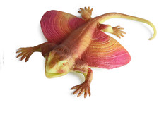 21cm Lizard PVC Toy Wild Animal Figure Doll Kids Gift