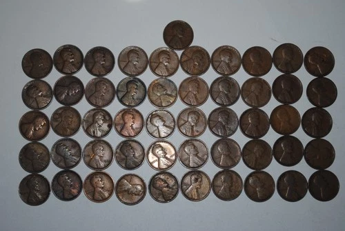 1909-P Lincoln cents avg. cir's 1 Roll (51)