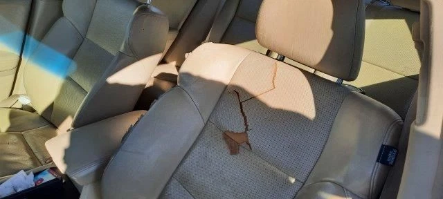 Temperature Control US Market Fits 09-10 TSX 4053346 Foto 3 de 4