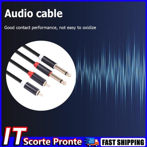 Cavo adattatore amplificatore mixer cavo audio 2 RCA maschio a doppio jack 6,35