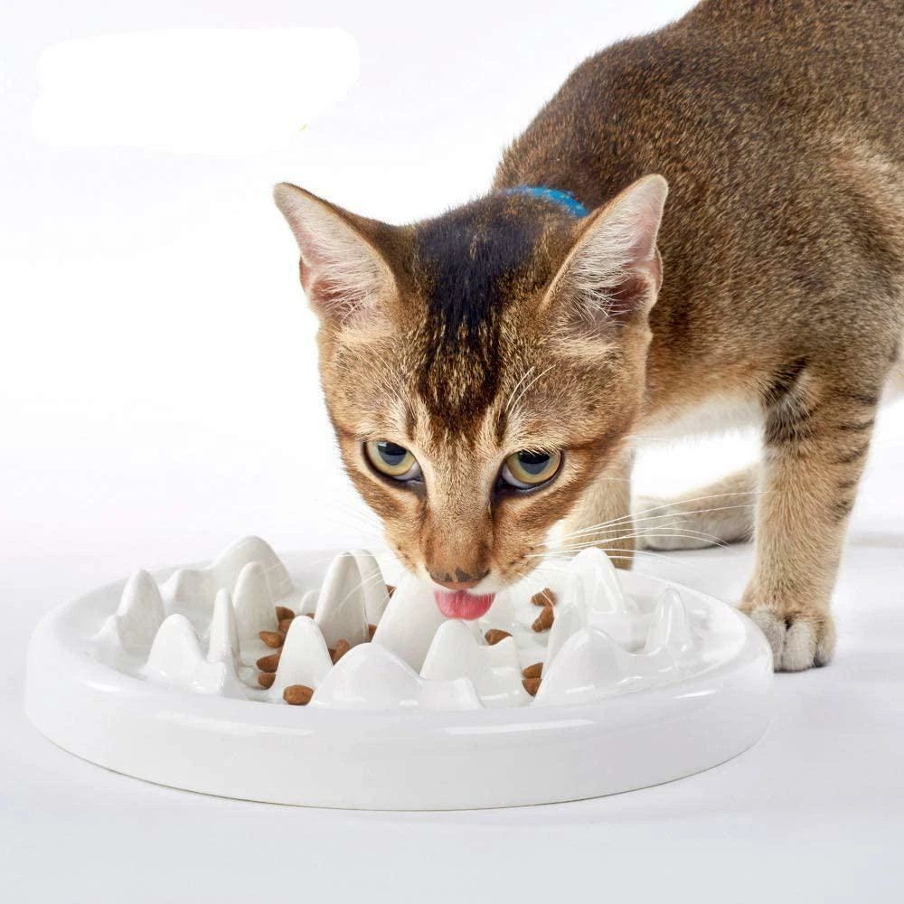 Cat dishes to top slow down eating