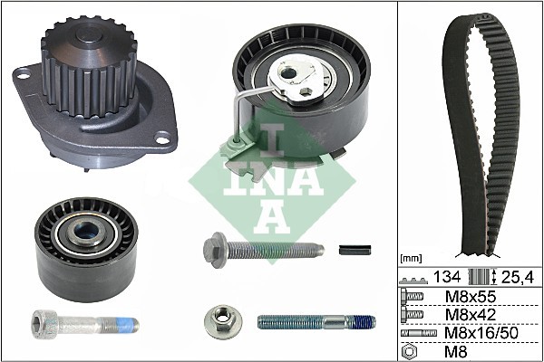 530 0379 30 INA water pump + timing belt kit for Citroën, Citroën (DF-PSA)
