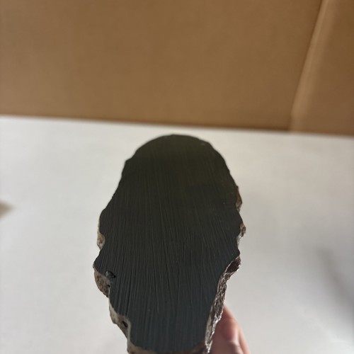 Figura Estatua Dinostoreus Tyrannosaurus Escala 1:35 Modelo Acabado Con Base TREX - Imagen 14 de 15