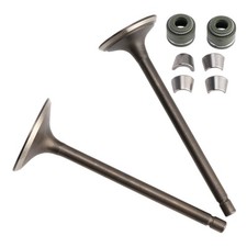 Ventil Set Einlass & Auslass 34 / 28 5mm f&uuml;r CG 250ccm ATV Quad Shineray 250 a