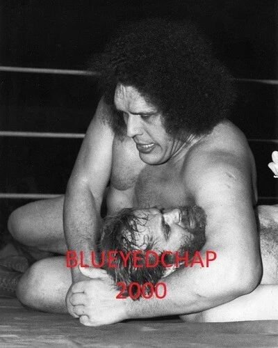 ANDRE THE GIANT VS OLE ANDERSON WRESTLER 8 X 10 WRESTLING PHOTO NWA - Image 1 of 1