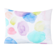 Pair Pottery Barn Teen Watercolor Dots Organic Cotton Standard Pillow Shams