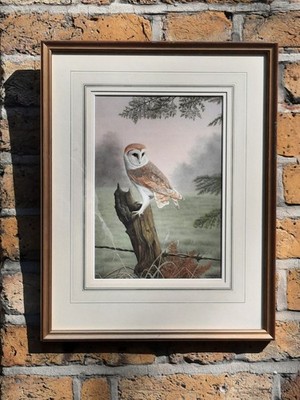 DENNIS GREEN (britisch), ''Barn Owl at Dawn'', groß W/C, signiert