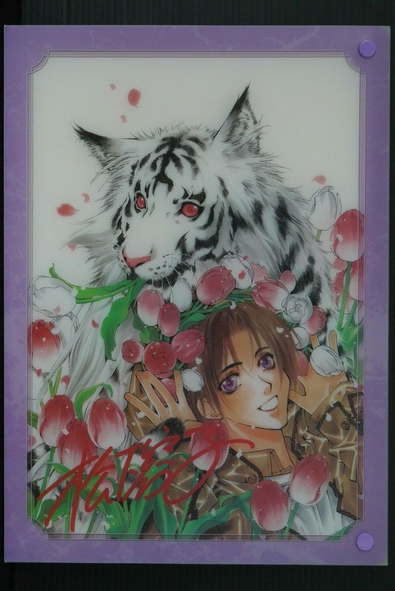その他 Shade Digital Beauty Extra ~yoko/misako/jun~ Yoko Matsushita: Best Select Art Collection 'Descendants of