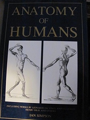 Anatomy of Humans
