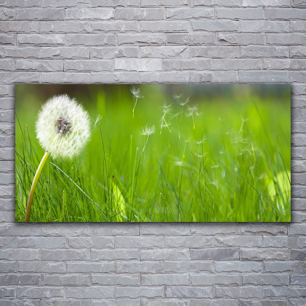 Cuadros de vidrio acrílico murales impresión 120x60 flor de azapo hierba plantas