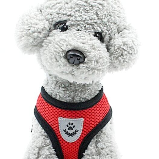 Black Friday Sale!! Dog Harness No-pull Pet Adjustable Outdoor Vest, Size S,M,L
