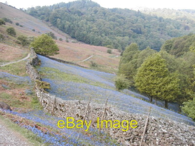 Photo 6x4 Below Loughrigg Terrace Town End A glimpse of Grasmere to the r c2004