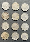 Lot of (12) BUFFALO Indian Head Nickel Coins FULL Dates No Reserve