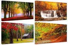 Quadri Moderni Arredamento cm.100x50 Paesaggi Autunno Arredo Casa Stampa su Tela