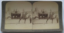 STEREOVIEW A Ship of the Desert At Cairo EGYPT by Underwood