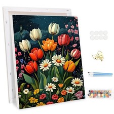 Flowers DIY Framed Paint by Numbers Kits for Adults Beginners Canvas Decor Art