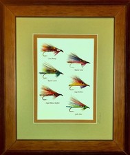 6 Framed and Mounted Trout Streamers