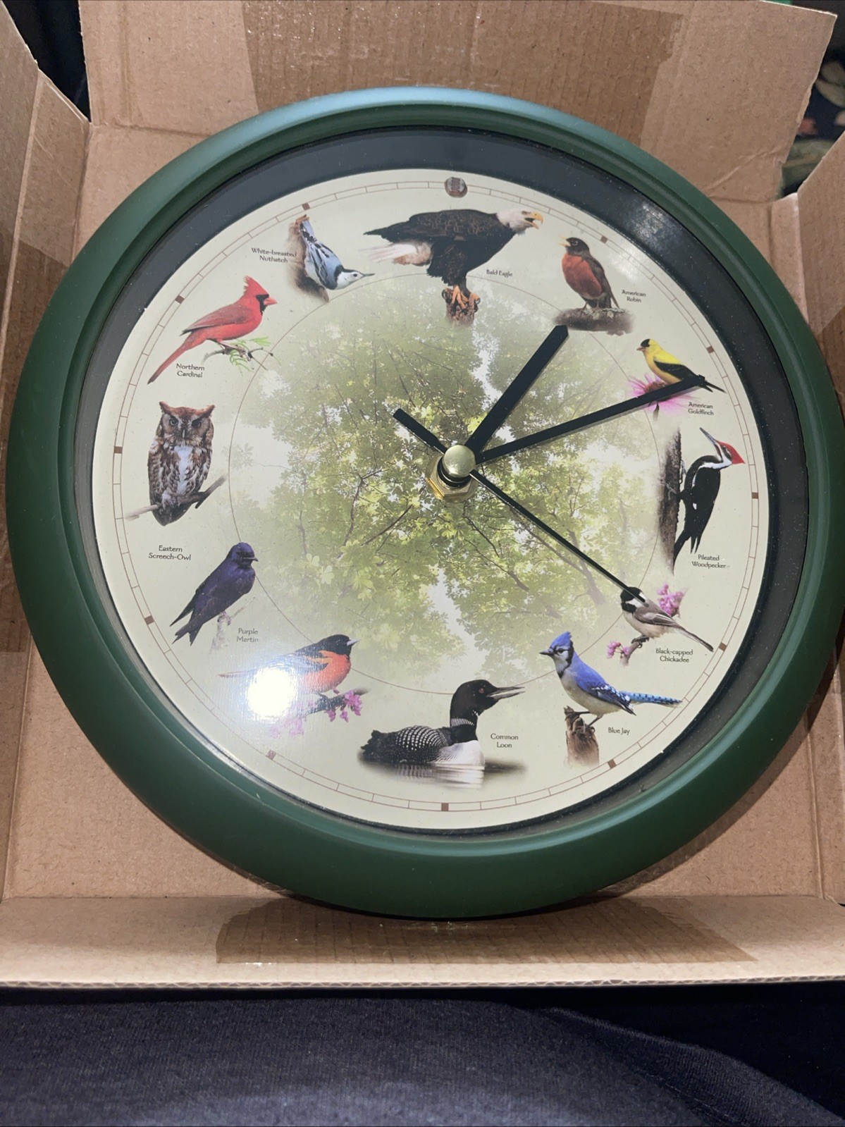 Feldstein Limited Edition Singing Bird Wall Clock 8" Green Bird Theme Hourly New