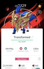 Pokemon Non Shiny Crowned Zamazenta Transformed With Special GO