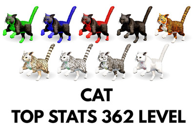 Cat TOP STATS Ark Survival Ascended Official PVE