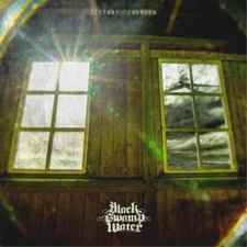 Black Swamp Water Distant Thunder (Vinyl) 12" Album
