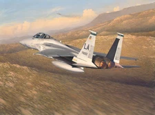 William PHILLIPS Advantage Eagle LTD edition Canvas F-15 fighter aircraft plane