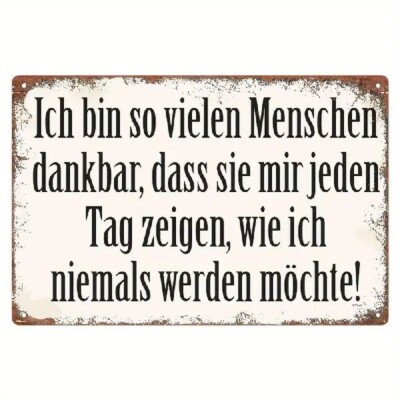 Blechschild Ich bin so vielen Menschen dankbar 30x20cm Nostalgie Vintage TEL1718