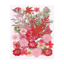 48 Pcs Dried Pressed Flower Leaves Bulk for Resin, Pink Colors