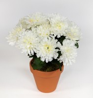 Chrysantheme 30Cm Weiß Im Topf Dp Kunstpflanzen KüNstliche Blumen Kunstblumen