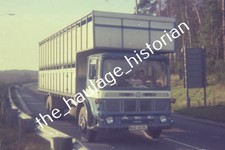 THH Truck Photos - AEC - Livestock.