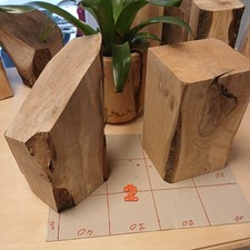 DEKO Holzklotz STELE EDELHOLZ Drechseln Holzwürfel Nussbaum Apfel Holzblock DIY