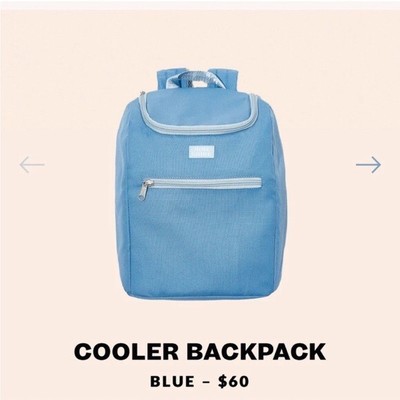June Shine Insulated Cooler Backpack In Sky Blue 10x6x13 